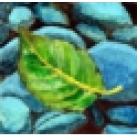 Natuurlijk Webdesign