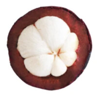 Mangosteen Venture Studio logo - Similar company to Concentrix Tigerspike