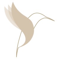 Them You & Me Pte Ltd