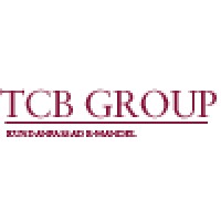 TCB Group AB logo - Similar company to Frönb Gaming