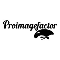 ProImageFactor logo - Similar company to Quadcore Creations