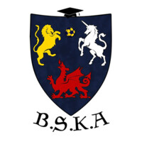 British Student Korfball Association logo - Similar company to Hamilton Training Services