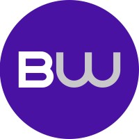 Blackwire Designs logo - Similar company to Longtech Computer Distribution Inc.