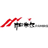 上海帕米尔信息科技有限公司 logo - Similar company to Baobabtrees