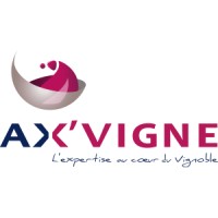AX'VIGNE logo - Similar company to Global B2B Services