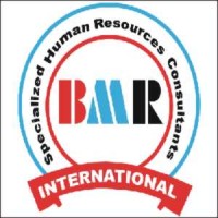 BMR International logo - Similar company to Fifth Deck