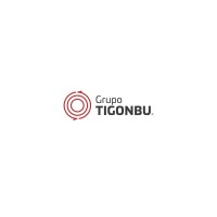 GRUPO TIGONBU logo - Similar company to Insights Data Science