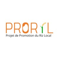 PRORIL logo - Similar company to Ong Ogooue Labs