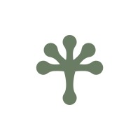 Pixua Lab logo - Similar company to Lev Academy