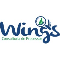 Wings Consultoria de Processos logo - Similar company to Borgatti Consulting