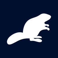 Castore Consulting logo - Similar company to Cultureelevate.