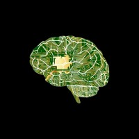 sapiosexual.ai logo - Similar company to Teacherready®