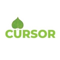 Cursor Properties