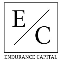Endurance Capital logo - Similar company to Digital Retail Technologies
