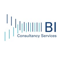 BI Consultancy Services logo - Similar company to Nutrackpk