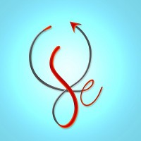 MANAS FE Consultancy logo - Similar company to Prithvi Connect