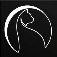 Black Cat Technologies logo - Similar company to Black Cat Technology