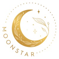 Moonstar logo - Similar company to Moonstar Express Llc