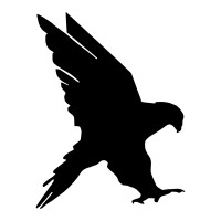 Black Falcon GmbH & Co.KG logo - Similar company to Davinci.Guide