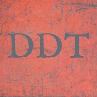 Dutch Domain Traders logo - Similar company to Nameshift