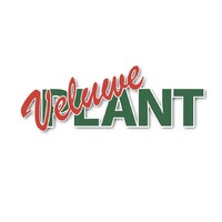 VeluwePlant b.v logo - Similar company to Mapping Partners
