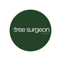 Your London Tree Surgeon logo - Similar company to Tree Surgeon Colchester