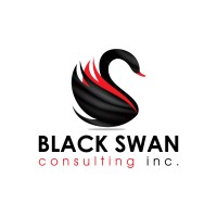 Black Swan Consulting Inc. logo - Similar company to Sb Business Solutions Llc