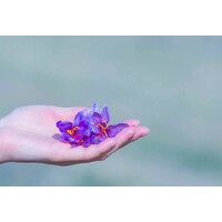 Organic Saffron logo - Similar company to Another Coffee