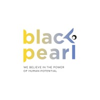 Black Pearl Consult logo - Similar company to Proof Analytics