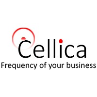 Cellica Software Pvt. Ltd. logo - Similar company to Mudra Web Solutions