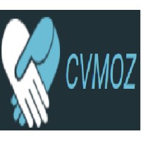 CVMOZ.CO.MZ logo - Similar company to Consul, Lda