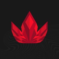 Lotus Squad logo - Similar company to Dinamk Tech