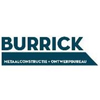 Burrick NV logo - Similar company to Mebo Group
