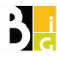Hall | Building Information Group, Llc