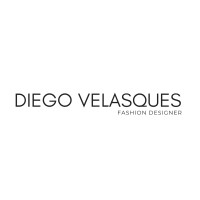 Diego Velasques logo - Similar company to Smart World Organisation