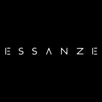 Essanze Visual Limited logo - Similar company to Silkroad Visual Technology Co., Ltd.