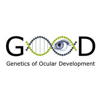 VisionforGood logo - Similar company to Sales Academy