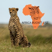 Africa bucket list logo - Similar company to Getting Hired Co