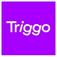 Triggo logo - Similar company to Maven Software Solutions