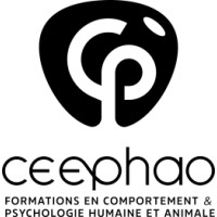 Ceephao logo - Similar company to Simone
