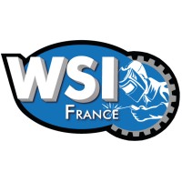 WSI-France logo - Similar company to Palaba