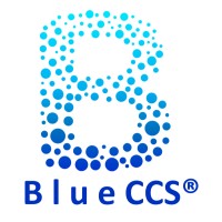 BlueCCS logo - Similar company to Worksync