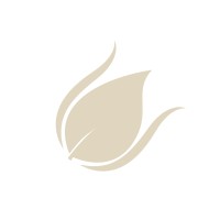 The Bespoke Clinic logo - Similar company to Strong Point Games