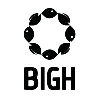 BIGH logo - Similar company to Vertiberry