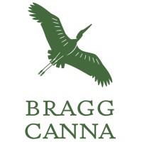 Bragg Canna logo - Similar company to Alchemy Analytics