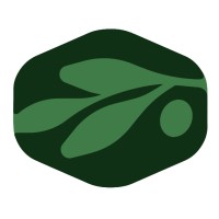 Olive Capital logo - Similar company to Serafund