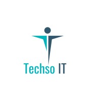 TechsoIT logo - Similar company to Fido Property Pvt Ltd