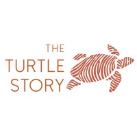 The Turtle Story logo - Similar company to Designhex