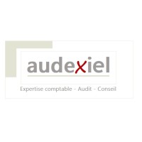 AUDEXIEL logo - Similar company to Cifralia