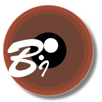 BrownirisBIM logo - Similar company to Casa Pro